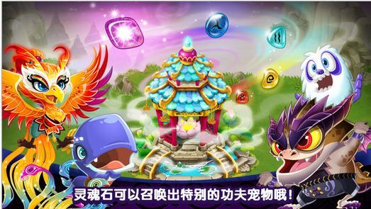 功夫宠物iphone版