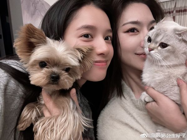 曾可妮张婧仪合照，一脸幸福地拎着各自养的宠物小猫和小狗