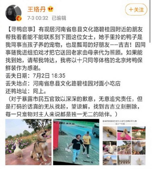 宠物被人拎走致死是否构成犯罪？律师解读：涉及到对宠物的价值认知