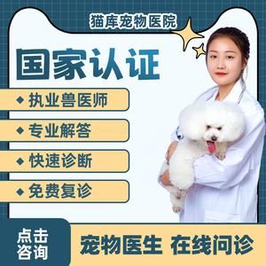 免费咨询宠物医生在线聊天,宠物咨询医生宠物平台免费