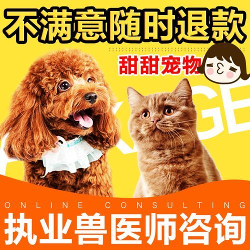 免费咨询宠物医生在线聊天,宠物咨询医生宠物平台免费