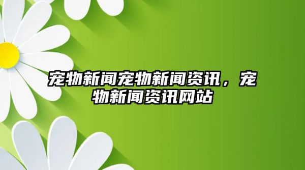 宠物新闻宠物新闻资讯，宠物新闻资讯网站