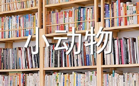 描写小动物的成语