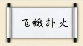 飞蛾扑火