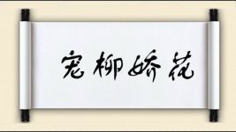 宠柳娇花