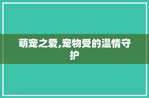 萌宠之爱,宠物受的温情守护