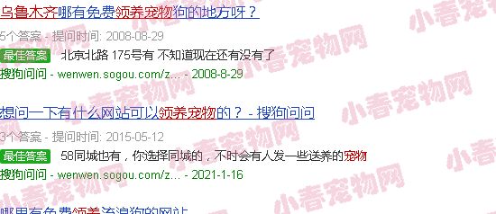 乌鲁木齐宠物领养网