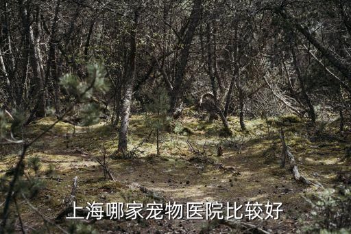 上海哪家宠物医院比较好