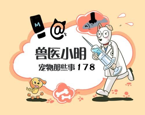 猫咪频繁进行磨爪，可能不止是身体需要，心理压力不容忽视