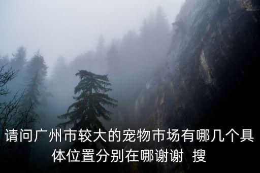 请问广州市较大的宠物市场有哪几个具体位置分别在哪谢谢 搜