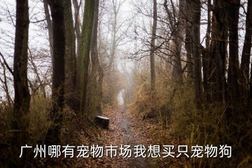 广州哪有宠物市场我想买只宠物狗