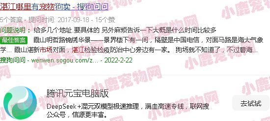 湛江最大的宠物市场在哪里