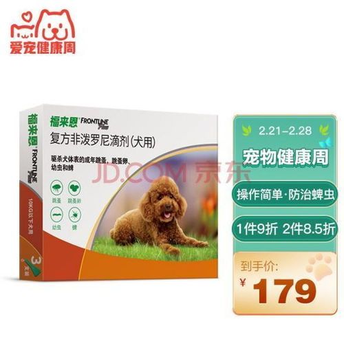 临安宠物医院：宠物健康护理指南？如何预防宠物常见疾病
