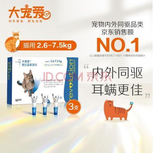 临安宠物医院：宠物健康护理指南？如何预防宠物常见疾病