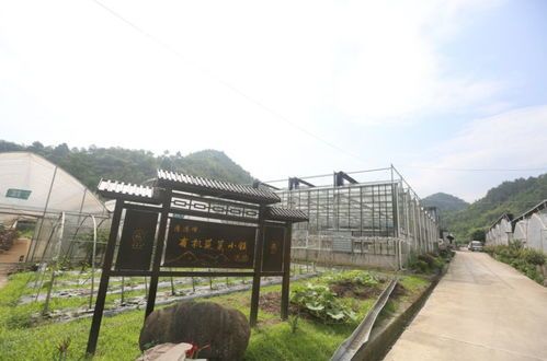 临安宠物医院旧址，这里曾是宠物乐园吗？