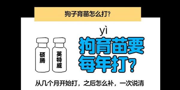 以八联疫苗为武器，保护我们的健康（从研发到推广，八联疫苗助力预防疾病）
