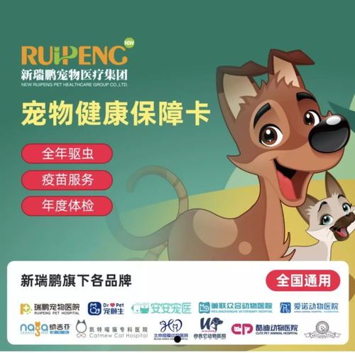 宠物健康守护，八联疫苗保平安