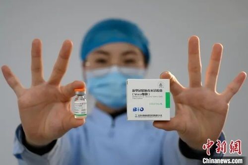 宠物八联疫苗，你需要知道的一切？宠物疫苗接种指南