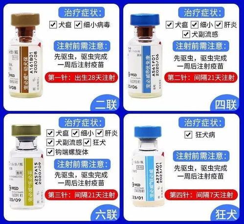 宠物八联疫苗，你需要知道的一切？宠物疫苗接种指南