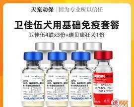 宠物狗必备——狗狗8联疫苗（了解狗狗8联疫苗的重要性及应用方法）