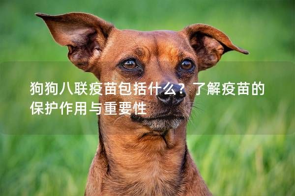 狗狗八联疫苗包括什么？了解疫苗的保护作用与重要性