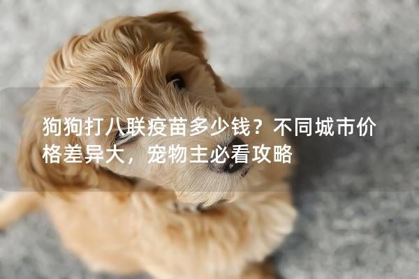 狗狗打八联疫苗多少钱？不同城市价格差异大，宠物主必看攻略