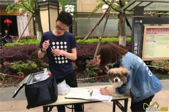 宠物被推荐注射犬八联疫苗，是为爱宠健康还是还有说法？