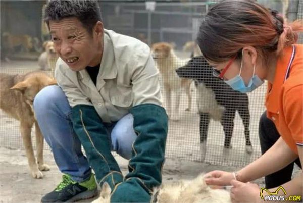 宠物被推荐注射犬八联疫苗，是为爱宠健康还是还有说法？