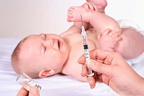 宠物打八联疫苗攻略,一步到位!