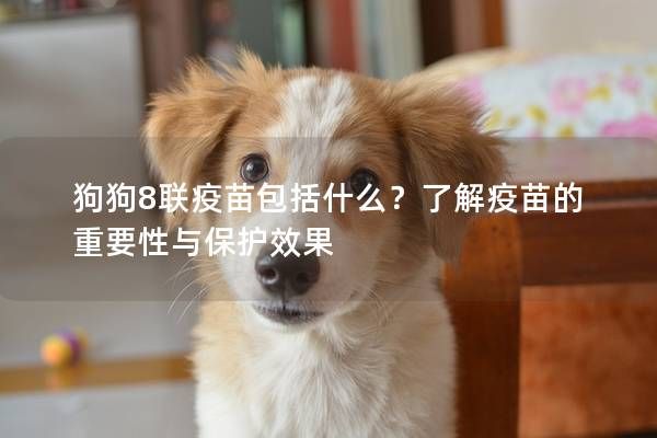 狗狗8联疫苗包括什么？了解疫苗的重要性与保护效果