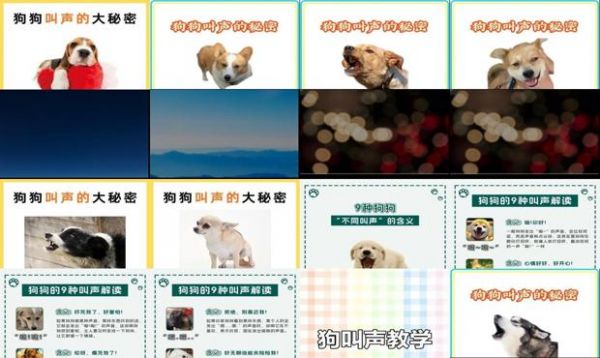 狗叫声大全试听铃声