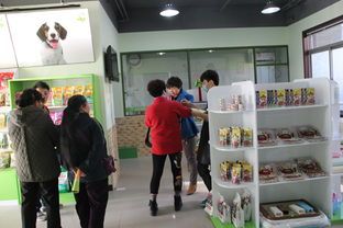 上海宠物店：选购宠物必看指南？上海市区宠物店排行榜