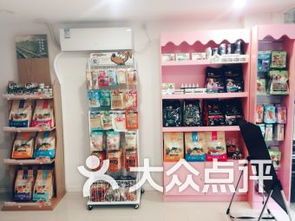 上海宠物店：选购宠物必看指南？上海市区宠物店排行榜