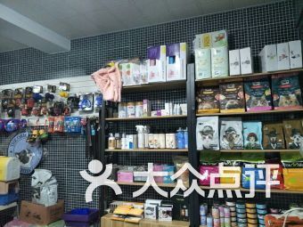 上海宠物店：选购宠物必看指南？上海市区宠物店排行榜