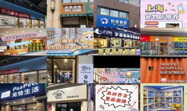 上海宠物店加盟排行榜