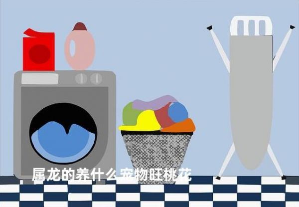属龙的养什么宠物旺桃花