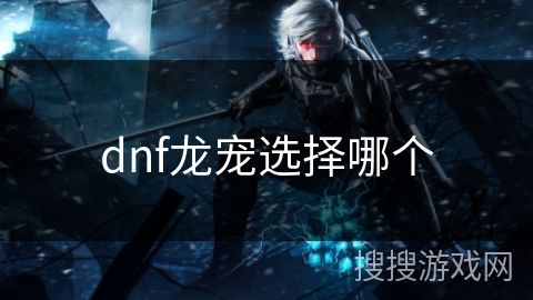 dnf龙宠选择哪个