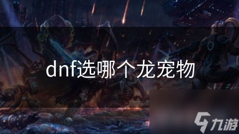 dnf选哪个龙宠物
