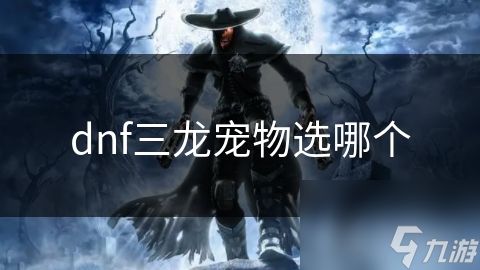 dnf三龙宠物选哪个