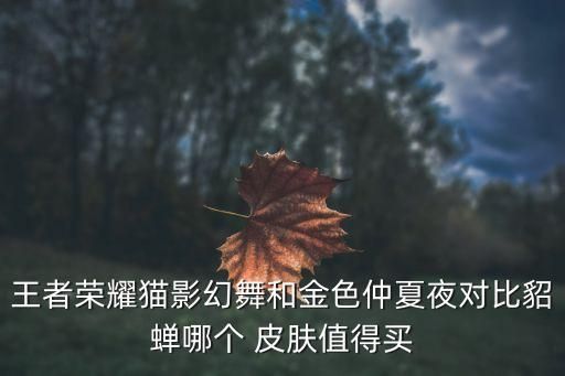 貂蝉fmvp皮肤,貂蝉FMVP皮肤免费领