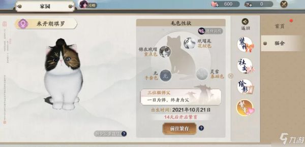 <a id='link_pop' class='keyword-tag' href='https://www.9game.cn/tymyd/'>天涯明月刀手游</a>猫咪怎么繁育