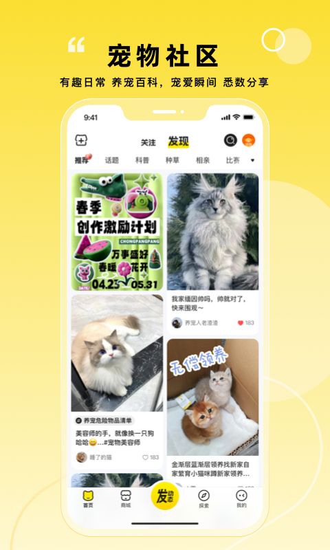 宠胖胖标准版