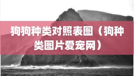 狗狗种类对照表图（狗种类图片爱宠网）