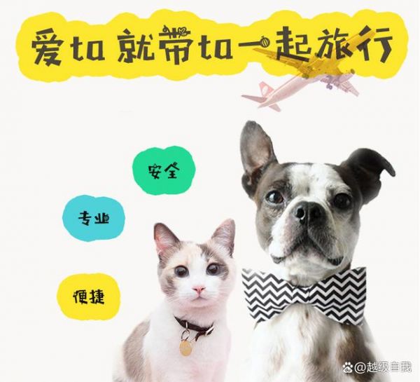 郑州托运信阳宠物-有驾