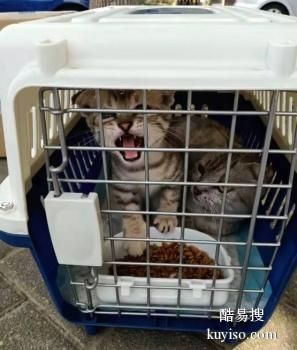 安阳宠物快递托运-专业正规宠物托运公司