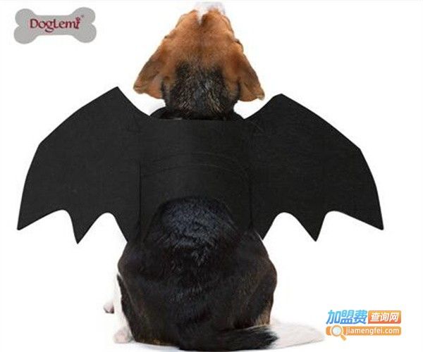 doglemi宠物用品加盟费