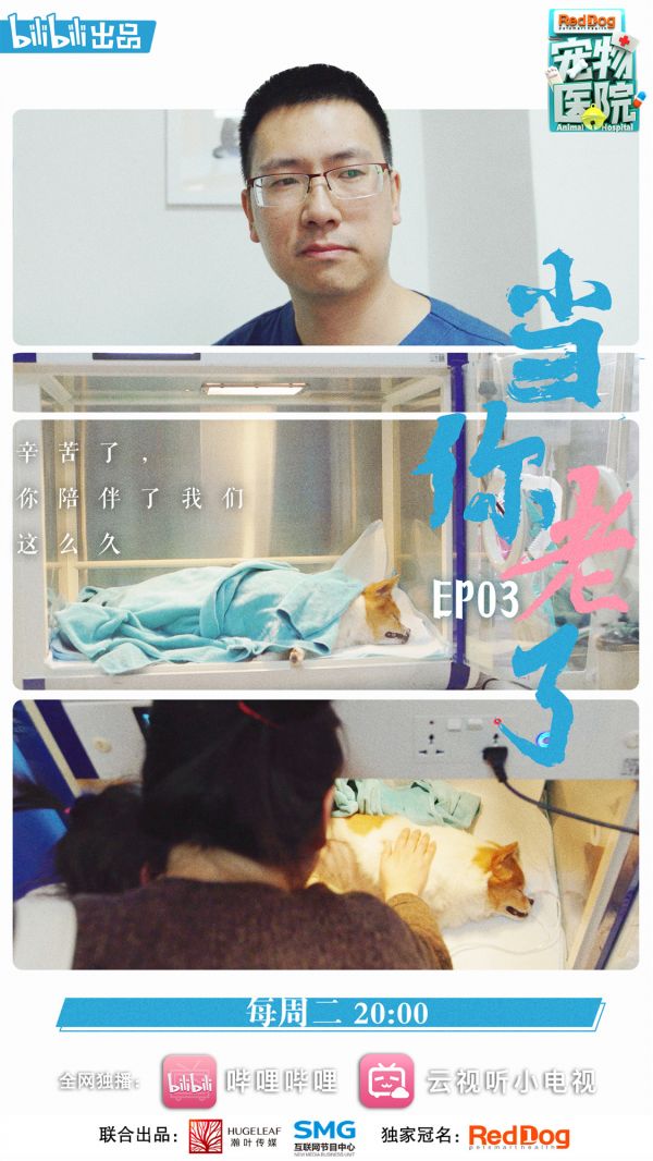 宠物医院》切准客观视角，传递治愈正能量.jpg