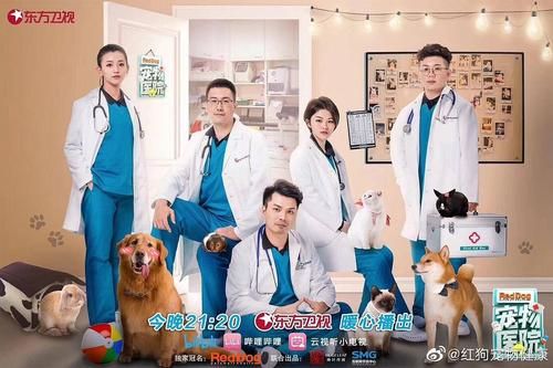 宠物医院综艺,宠物医院综艺第二季医生