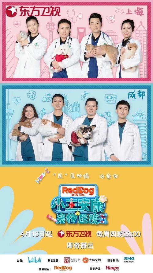 宠物医院综艺,宠物医院综艺第二季医生