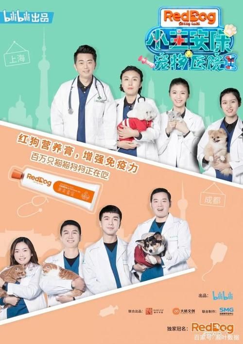 宠物医院综艺,宠物医院综艺第二季医生